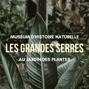 Musée National d'Histoire Naturelle - Les Grandes Serres